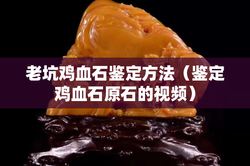 老坑鸡血石鉴定方法（鉴定鸡血石原石的视频）
