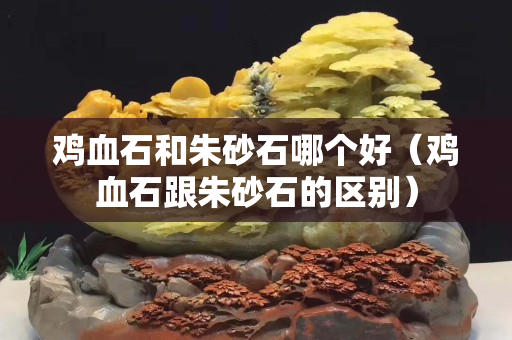 鸡血石和朱砂石哪个好（鸡血石跟朱砂石的区别）