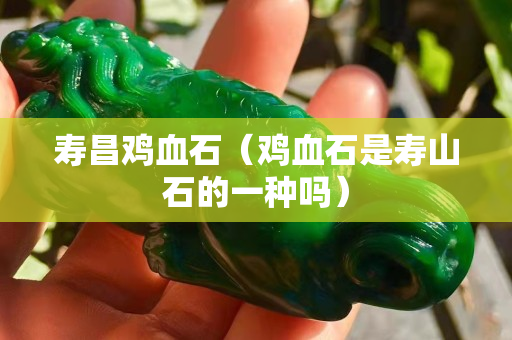 寿昌鸡血石（鸡血石是寿山石的一种吗）