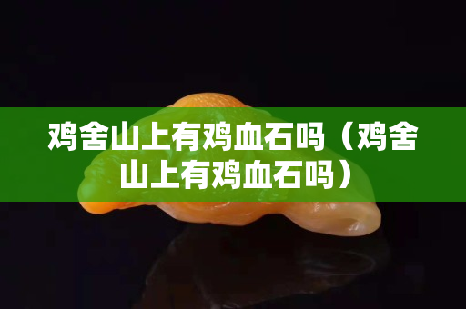 鸡舍山上有鸡血石吗（鸡舍山上有鸡血石吗）