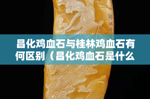 昌化鸡血石与桂林鸡血石有何区别（昌化鸡血石是什么岩石）