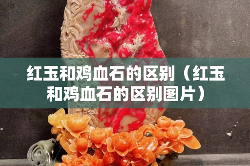 红玉和鸡血石的区别（红玉和鸡血石的区别图片）
