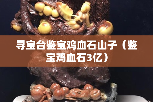 寻宝台鉴宝鸡血石山子（鉴宝鸡血石3亿）