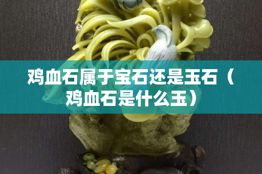 鸡血石属于宝石还是玉石（鸡血石是什么玉）