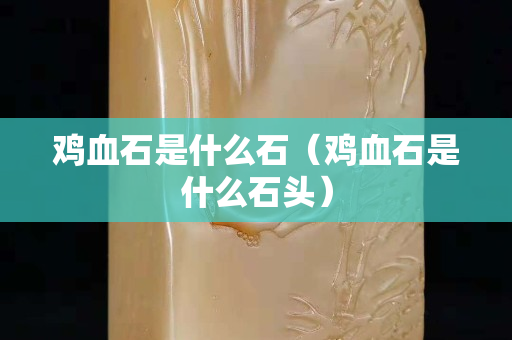 鸡血石是什么石（鸡血石是什么石头）