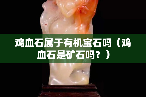 鸡血石属于有机宝石吗（鸡血石是矿石吗？）