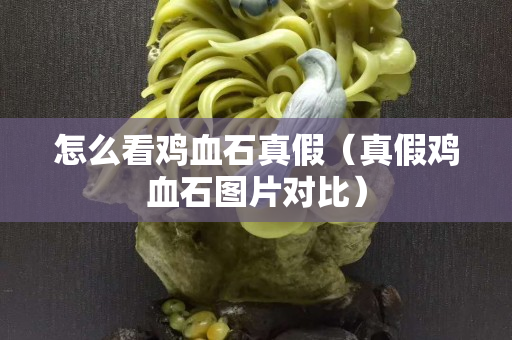 怎么看鸡血石真假（真假鸡血石图片对比）