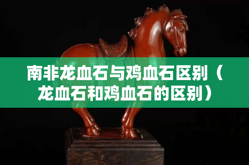 南非龙血石与鸡血石区别（龙血石和鸡血石的区别）