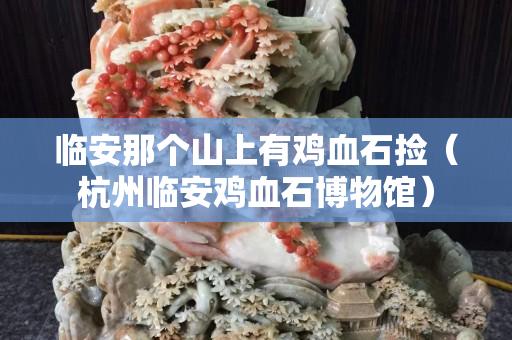 临安那个山上有鸡血石捡（杭州临安鸡血石博物馆）