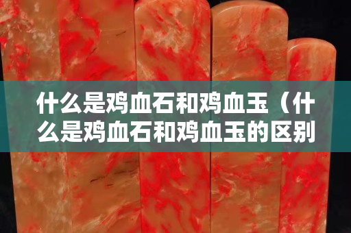 什么是鸡血石和鸡血玉（什么是鸡血石和鸡血玉的区别）