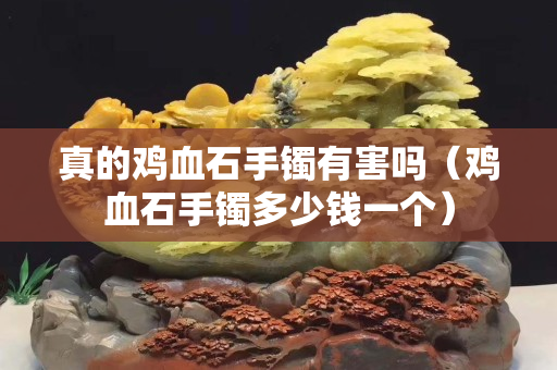 真的鸡血石手镯有害吗（鸡血石手镯多少钱一个）