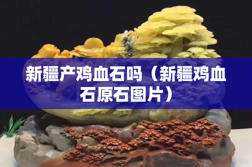 新疆产鸡血石吗（新疆鸡血石原石图片）