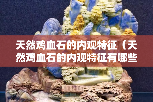 天然鸡血石的内观特征（天然鸡血石的内观特征有哪些）