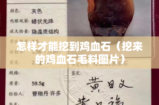 怎样才能挖到鸡血石（挖来的鸡血石毛料图片）