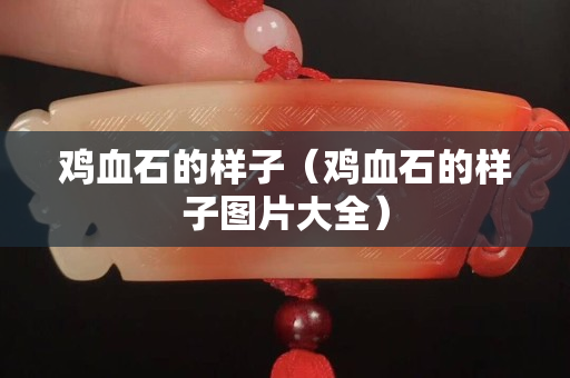 鸡血石的样子（鸡血石的样子图片大全）