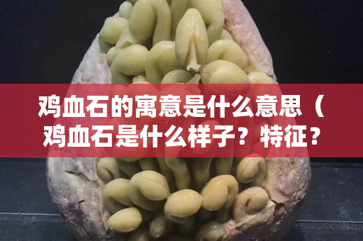 鸡血石的寓意是什么意思（鸡血石是什么样子？特征？）