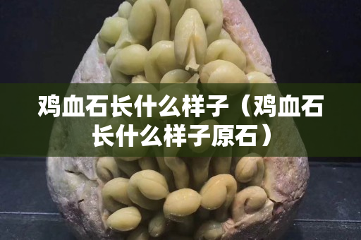 鸡血石长什么样子（鸡血石长什么样子原石）