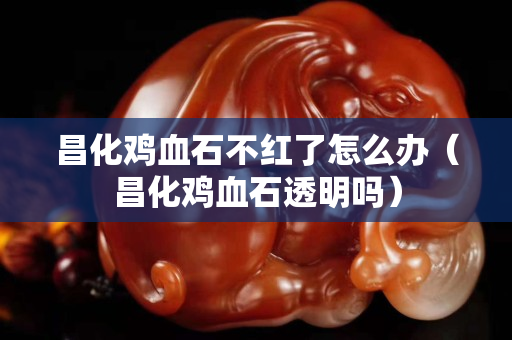 昌化鸡血石不红了怎么办（昌化鸡血石透明吗）