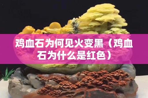 鸡血石为何见火变黑（鸡血石为什么是红色）