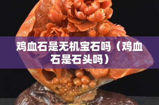 鸡血石是无机宝石吗（鸡血石是石头吗）