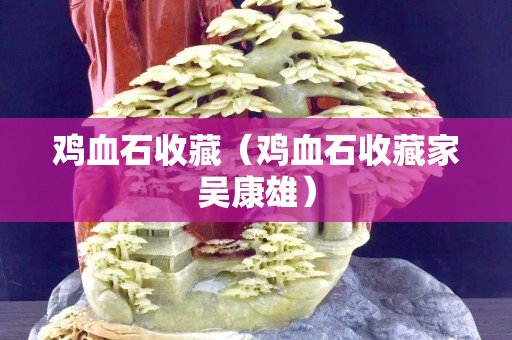 鸡血石收藏（鸡血石收藏家吴康雄）