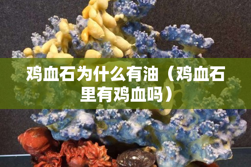 鸡血石为什么有油（鸡血石里有鸡血吗）