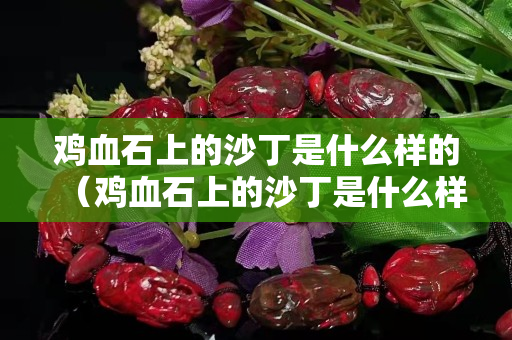 鸡血石上的沙丁是什么样的（鸡血石上的沙丁是什么样的）