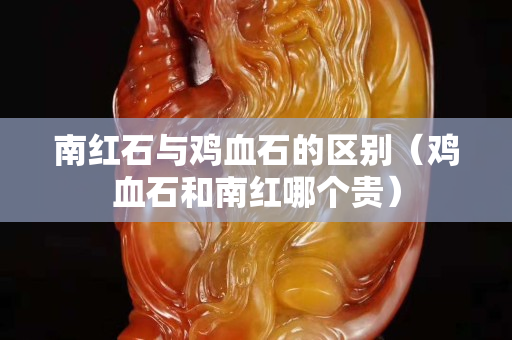 南红石与鸡血石的区别（鸡血石和南红哪个贵）