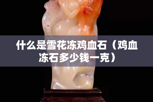 什么是雪花冻鸡血石（鸡血冻石多少钱一克）