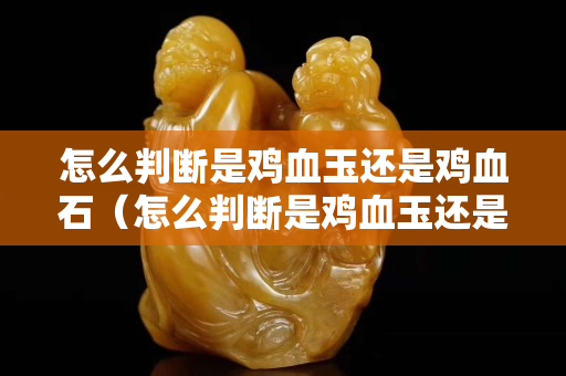 怎么判断是鸡血玉还是鸡血石（怎么判断是鸡血玉还是鸡血石呢）