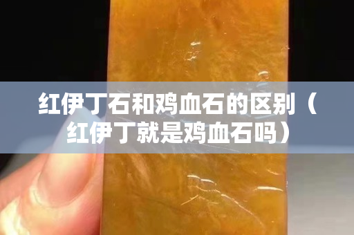 红伊丁石和鸡血石的区别（红伊丁就是鸡血石吗）