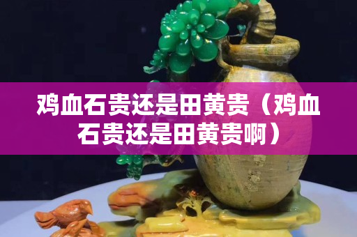 鸡血石贵还是田黄贵（鸡血石贵还是田黄贵啊）