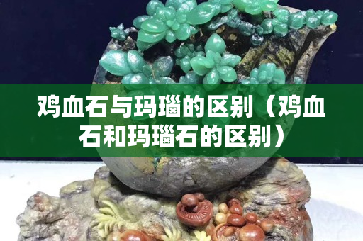 鸡血石与玛瑙的区别（鸡血石和玛瑙石的区别）