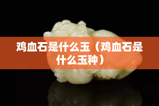 鸡血石是什么玉（鸡血石是什么玉种）