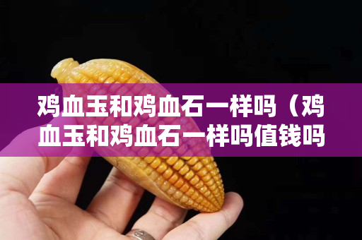 鸡血玉和鸡血石一样吗（鸡血玉和鸡血石一样吗值钱吗）