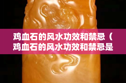 鸡血石的风水功效和禁忌（鸡血石的风水功效和禁忌是什么）