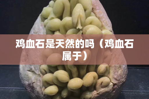 鸡血石是天然的吗（鸡血石属于）