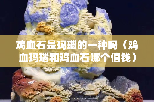 鸡血石是玛瑙的一种吗（鸡血玛瑙和鸡血石哪个值钱）