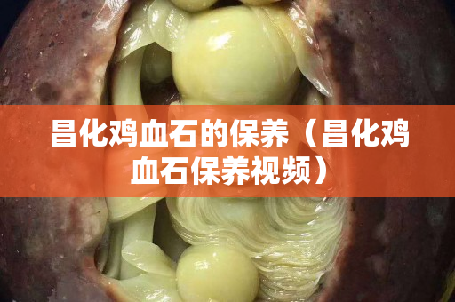 昌化鸡血石的保养（昌化鸡血石保养视频）