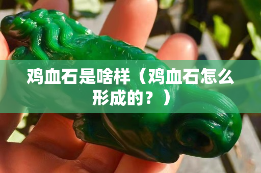 鸡血石是啥样（鸡血石怎么形成的？）