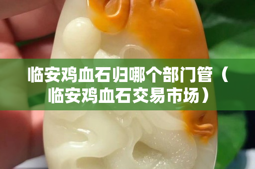临安鸡血石归哪个部门管（临安鸡血石交易市场）