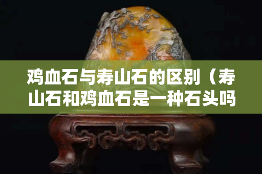 鸡血石与寿山石的区别（寿山石和鸡血石是一种石头吗）