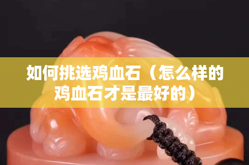如何挑选鸡血石（怎么样的鸡血石才是最好的）