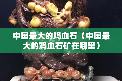 中国最大的鸡血石（中国最大的鸡血石矿在哪里）