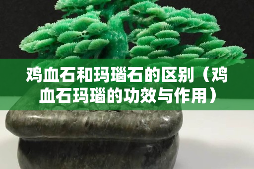 鸡血石和玛瑙石的区别（鸡血石玛瑙的功效与作用）