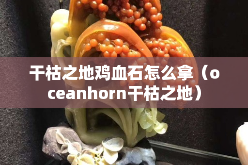 干枯之地鸡血石怎么拿（oceanhorn干枯之地）