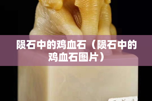 陨石中的鸡血石（陨石中的鸡血石图片）