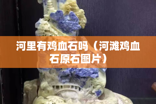 河里有鸡血石吗（河滩鸡血石原石图片）