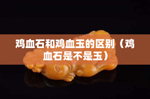 鸡血石和鸡血玉的区别（鸡血石是不是玉）