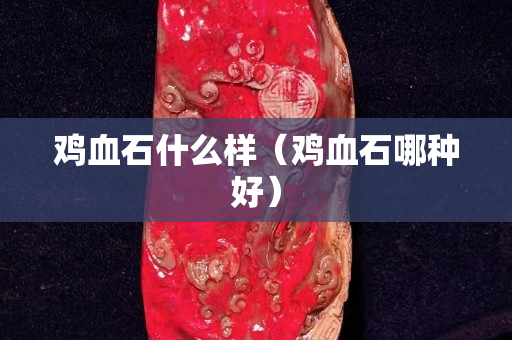 鸡血石什么样（鸡血石哪种好）